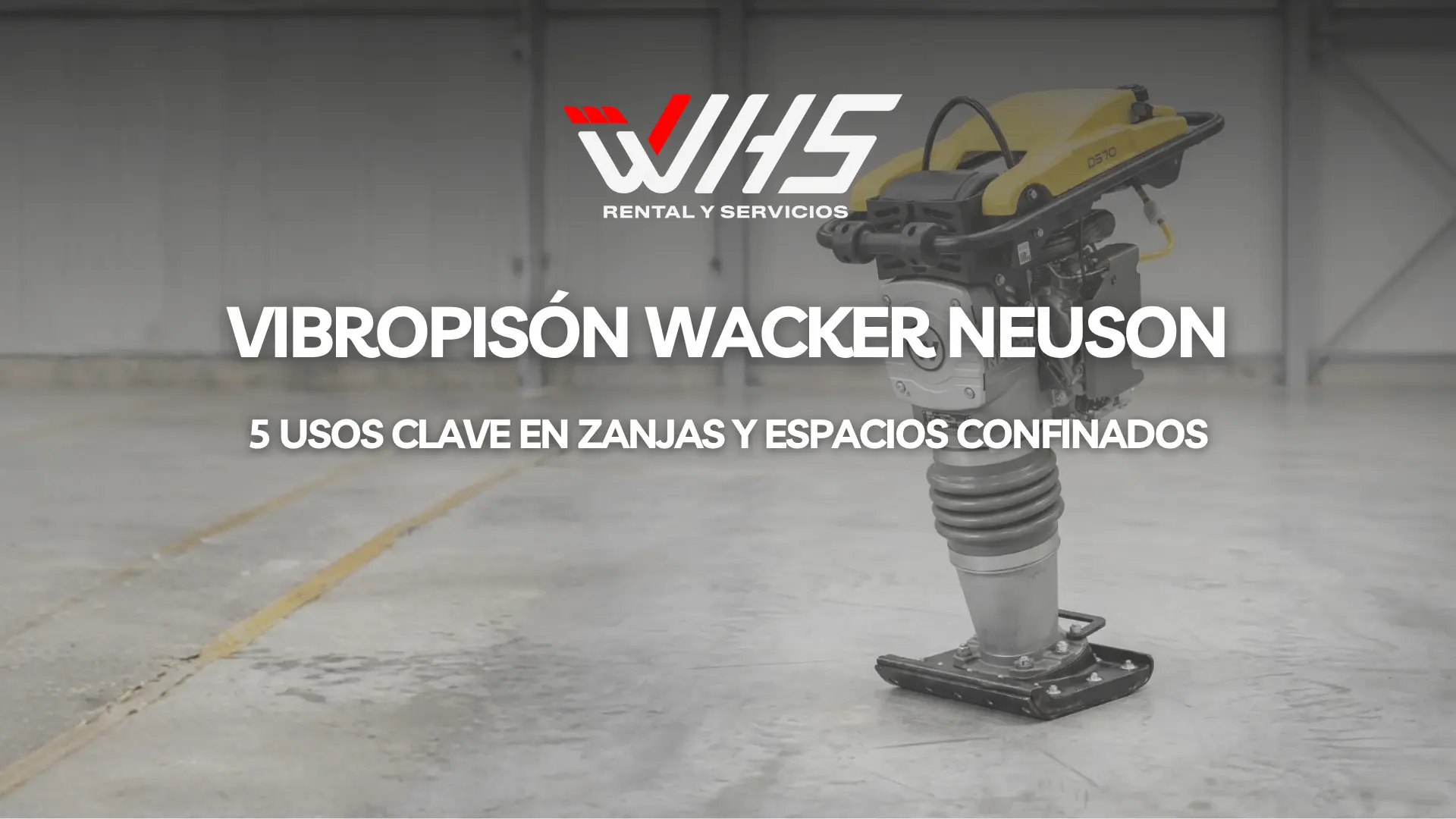 vibropison portada